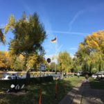 Fotogalerie 2016. Herbstarbeitseinsatz im MBSV Wasserwandern