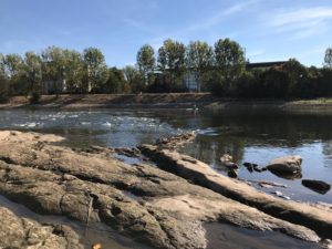 Niedrigwasser Elbe 2018